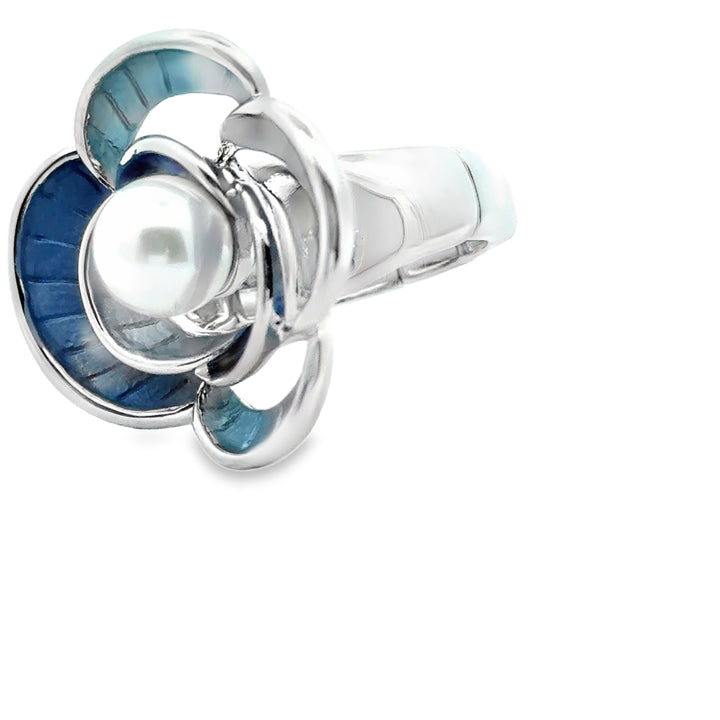 Ring elastische Schiene