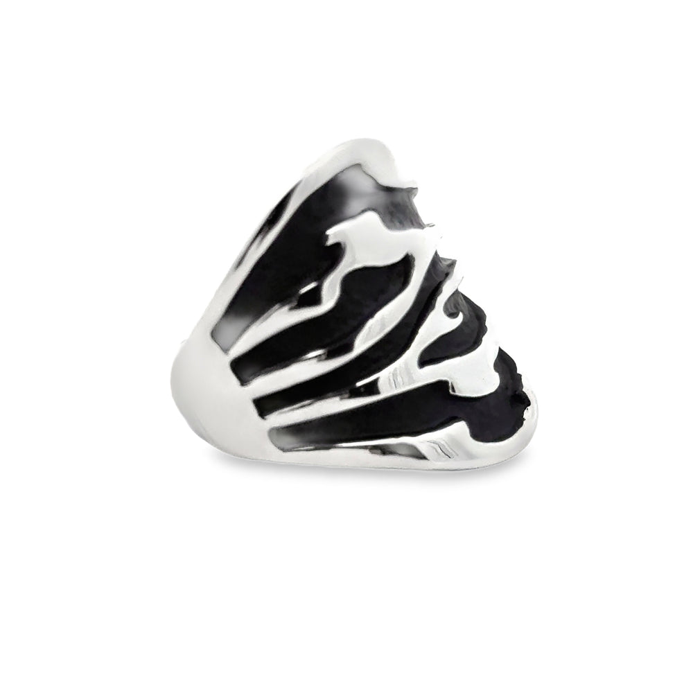 Ring elastische Schiene