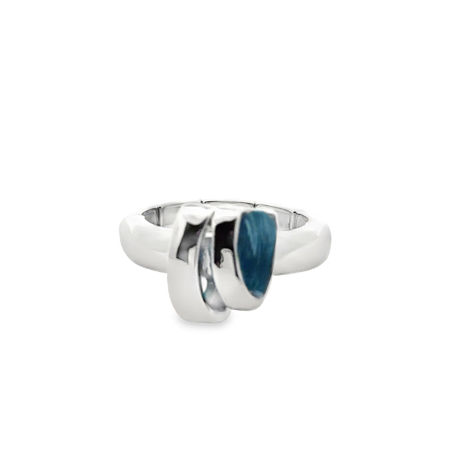 Ring elastische Schiene