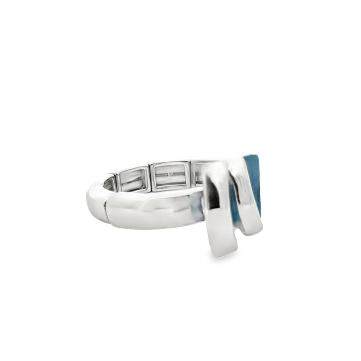 Ring elastische Schiene