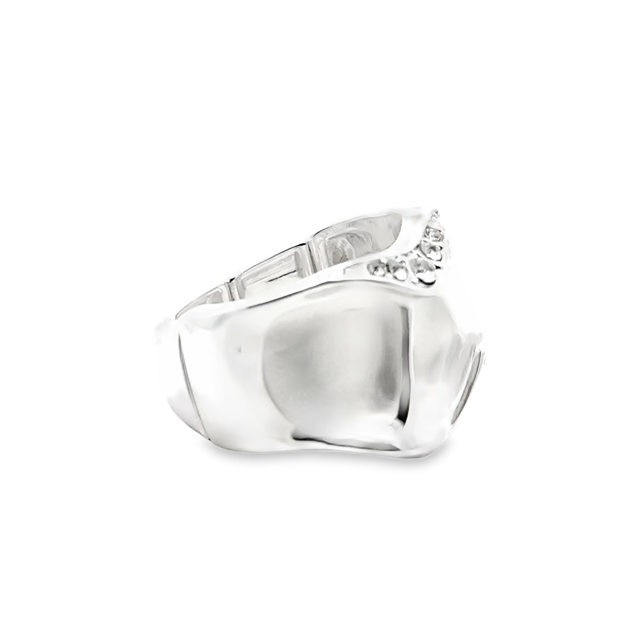 Ring elastische Schiene