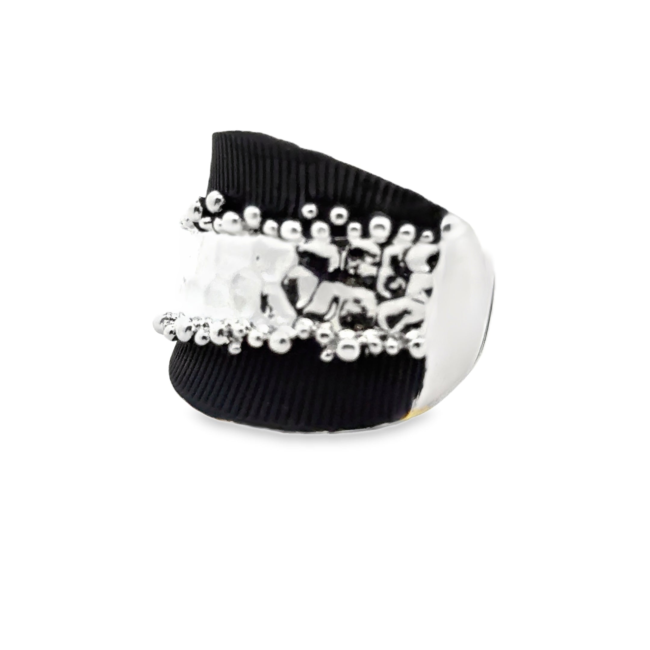 Ring elastische Schiene