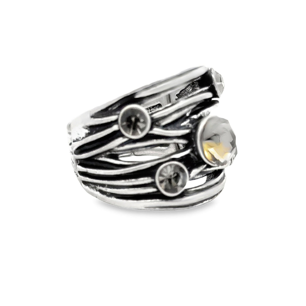 Ring elastische Schiene