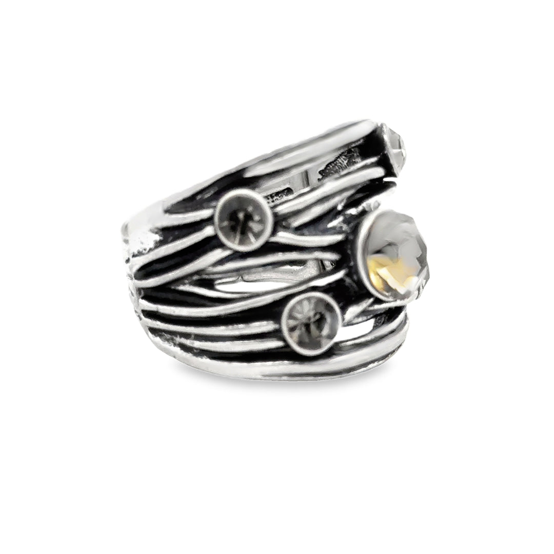 Ring elastische Schiene