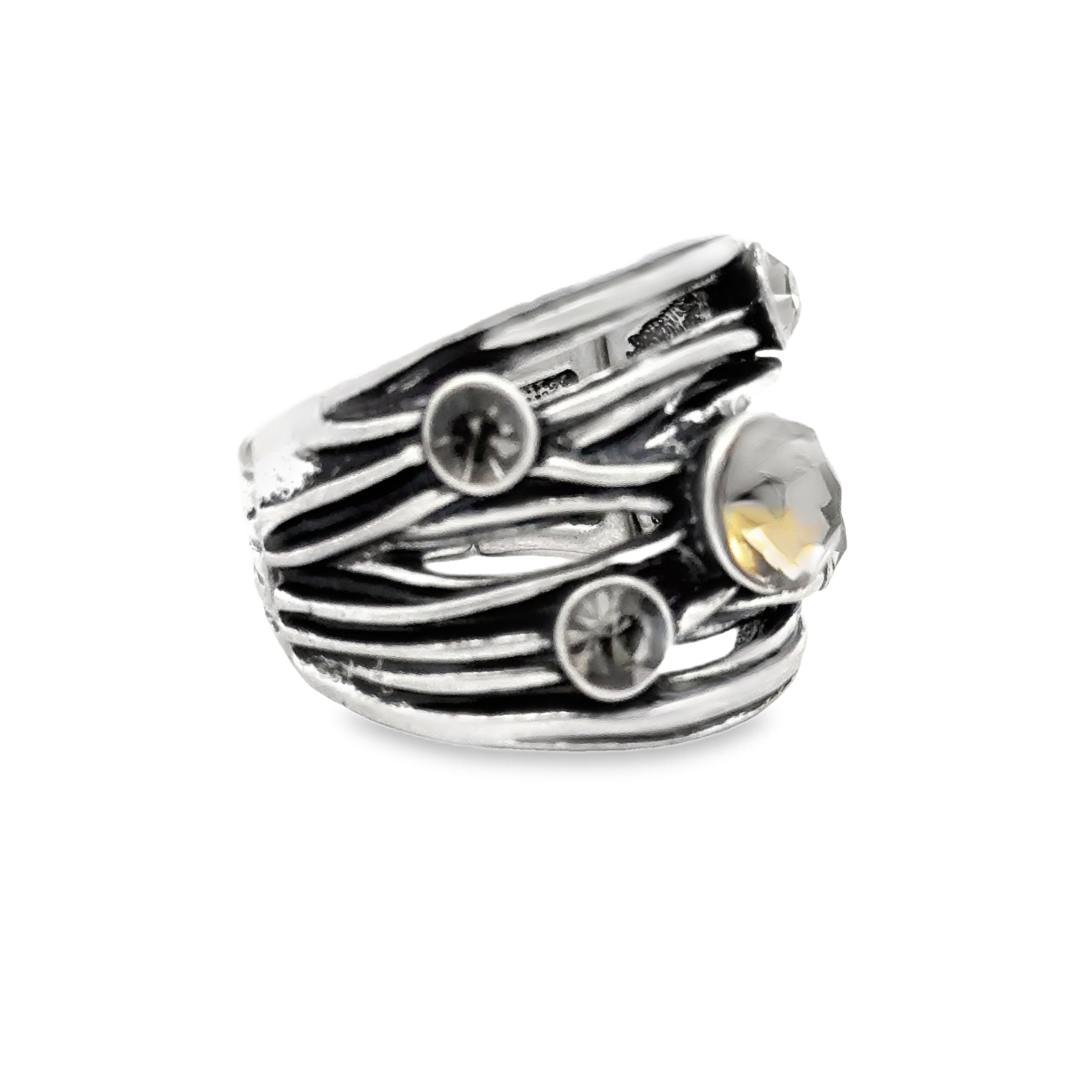 Ring elastische Schiene