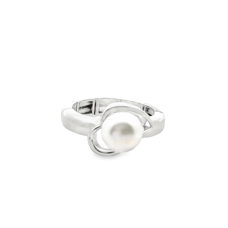 Ring elastische Schiene