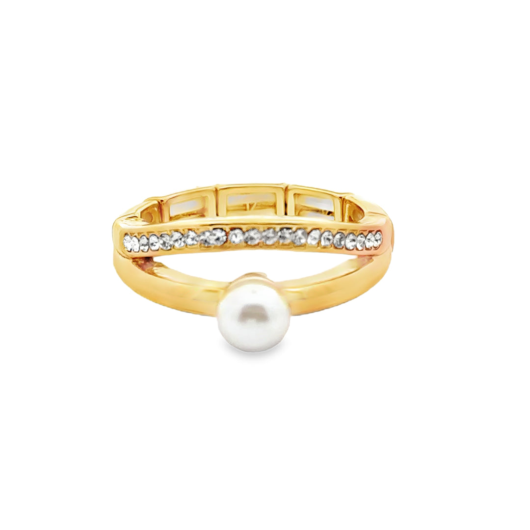 Ring elastische Schiene