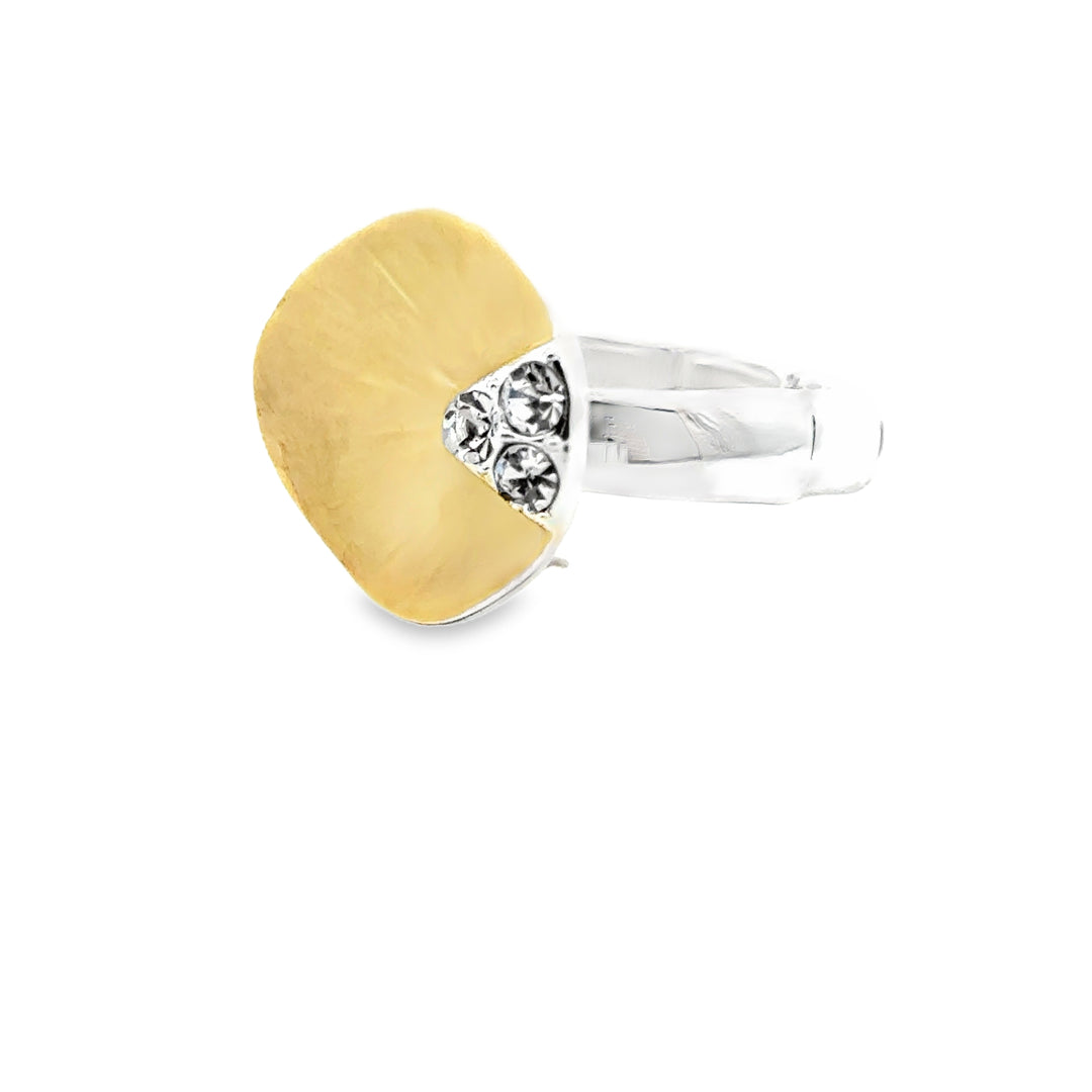 Ring elastische Schiene
