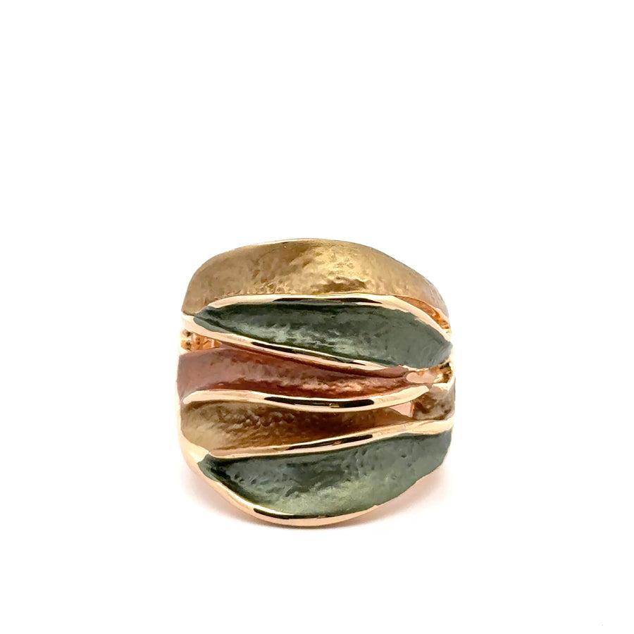 Anello elastico Fogliace