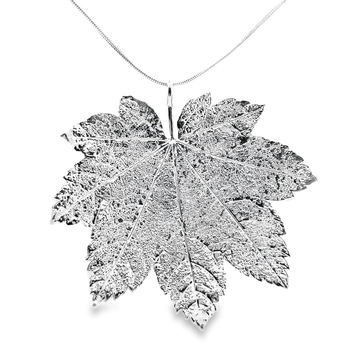 Full Moon Ahorn Anhänger, Echtblatt, mit Kette rhodiniert